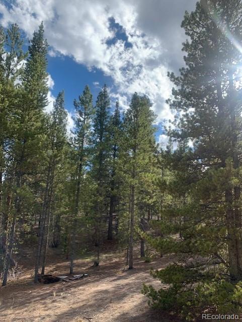 180 Peak View Drive Leadville CO 81251