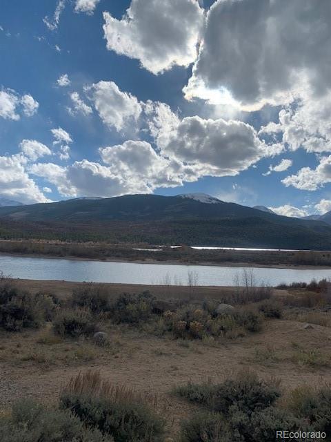180 Peak View Drive Leadville CO 81251
