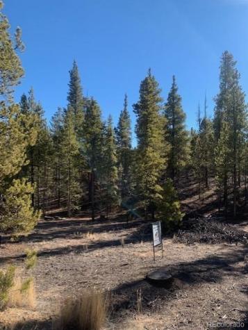 180 Peak View Drive Leadville CO 81251
