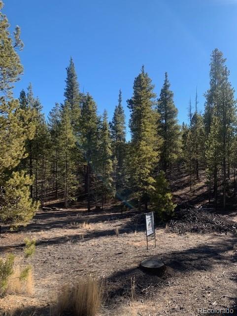 180 Peak View Drive Leadville CO 81251