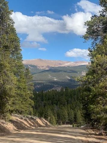 180 Peak View Drive Leadville CO 81251