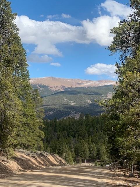 180 Peak View Drive Leadville CO 81251