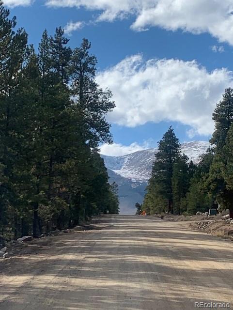 180 Peak View Drive Leadville CO 81251