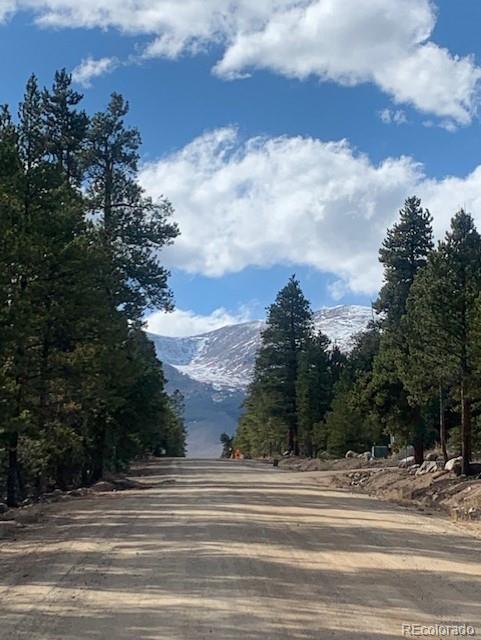 180 Peak View Drive Leadville CO 81251