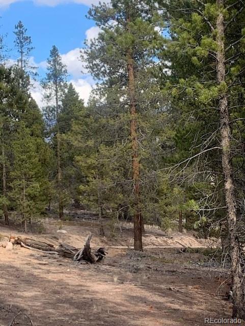180 Peak View Drive Leadville CO 81251