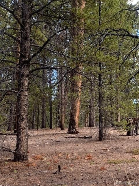 180 Peak View Drive Leadville CO 81251