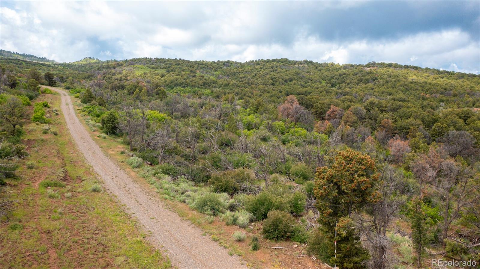18975 Elk Reserve Road Glade Park CO 81523