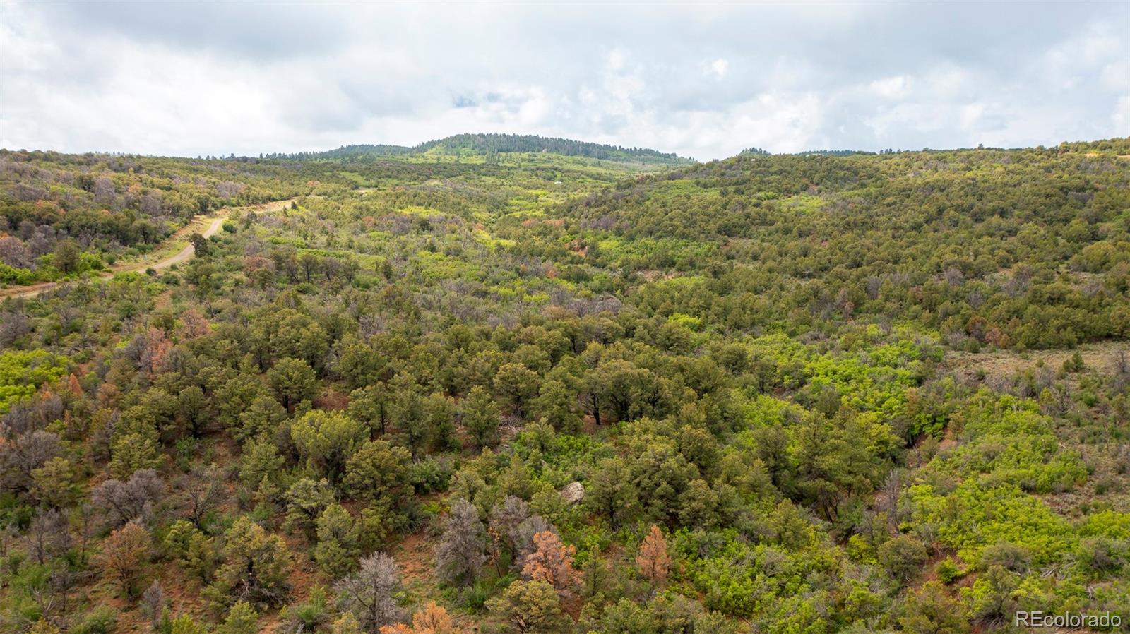 18975 Elk Reserve Road Glade Park CO 81523