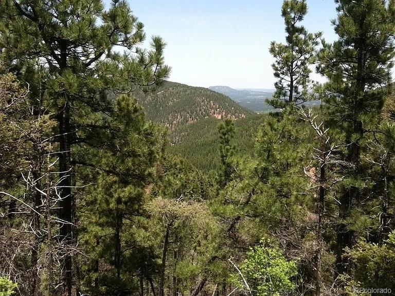 13499 S Firedog Way Larkspur CO 80118