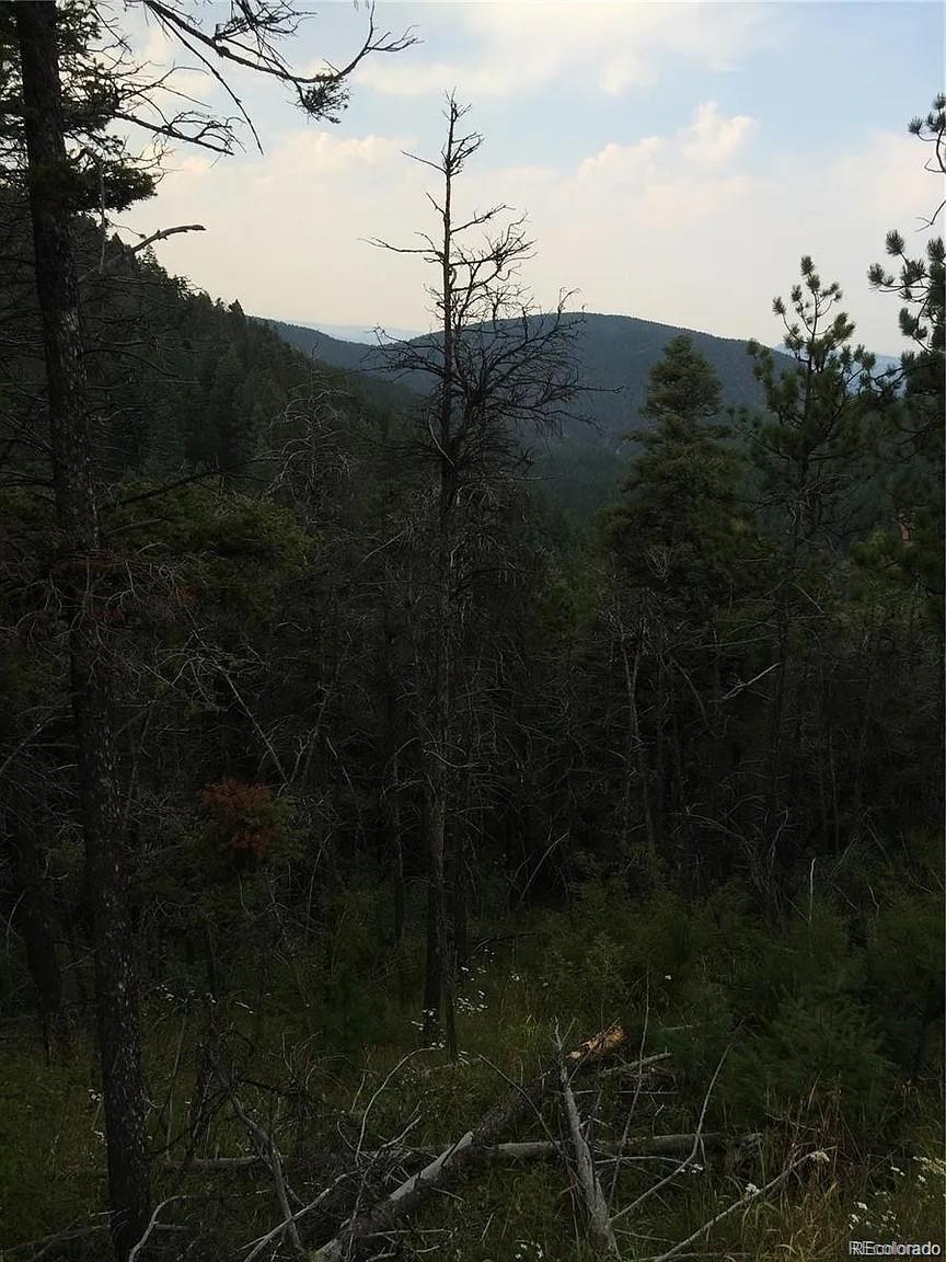 13499 S Firedog Way Larkspur CO 80118