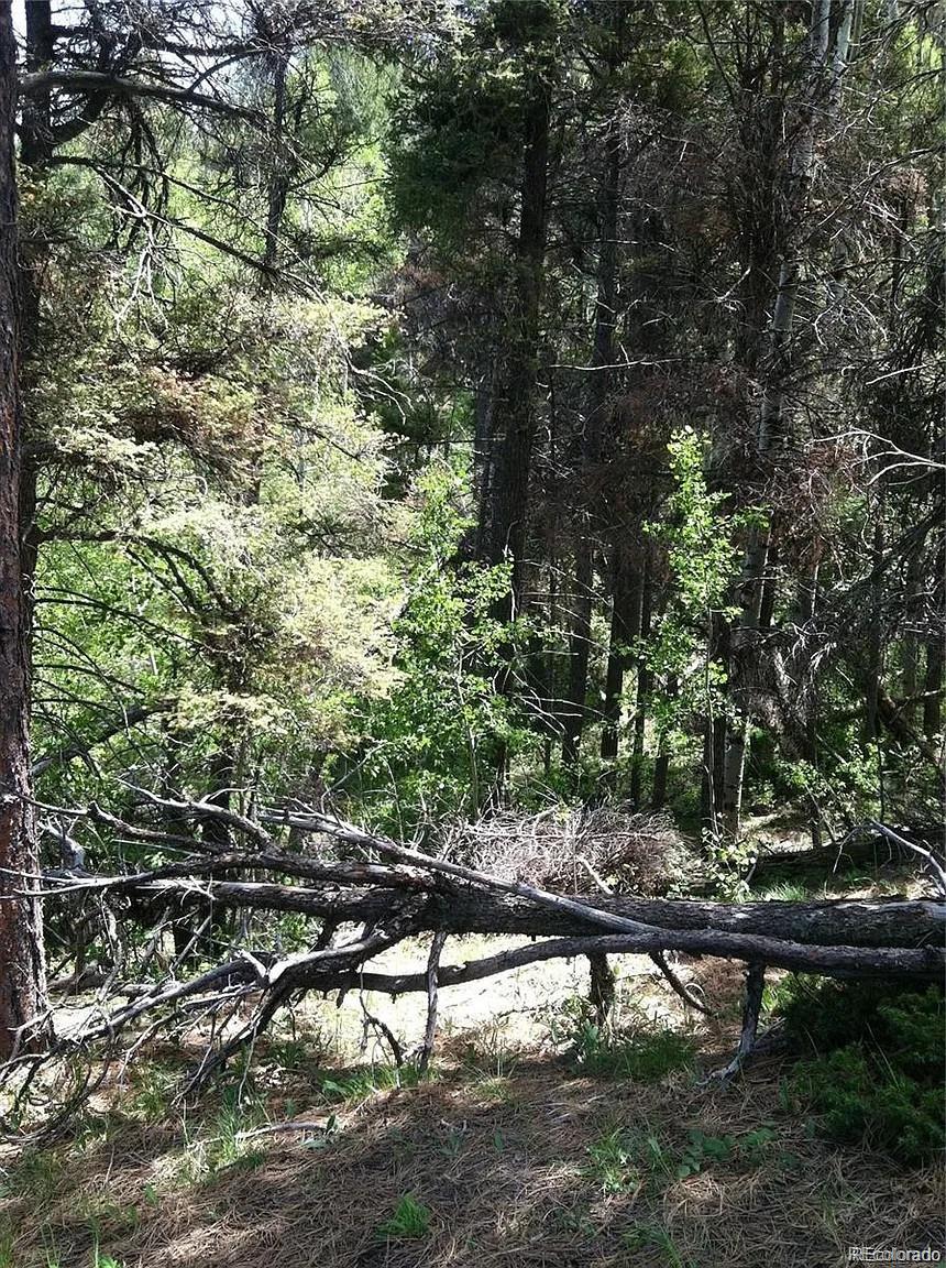 13499 S Firedog Way Larkspur CO 80118