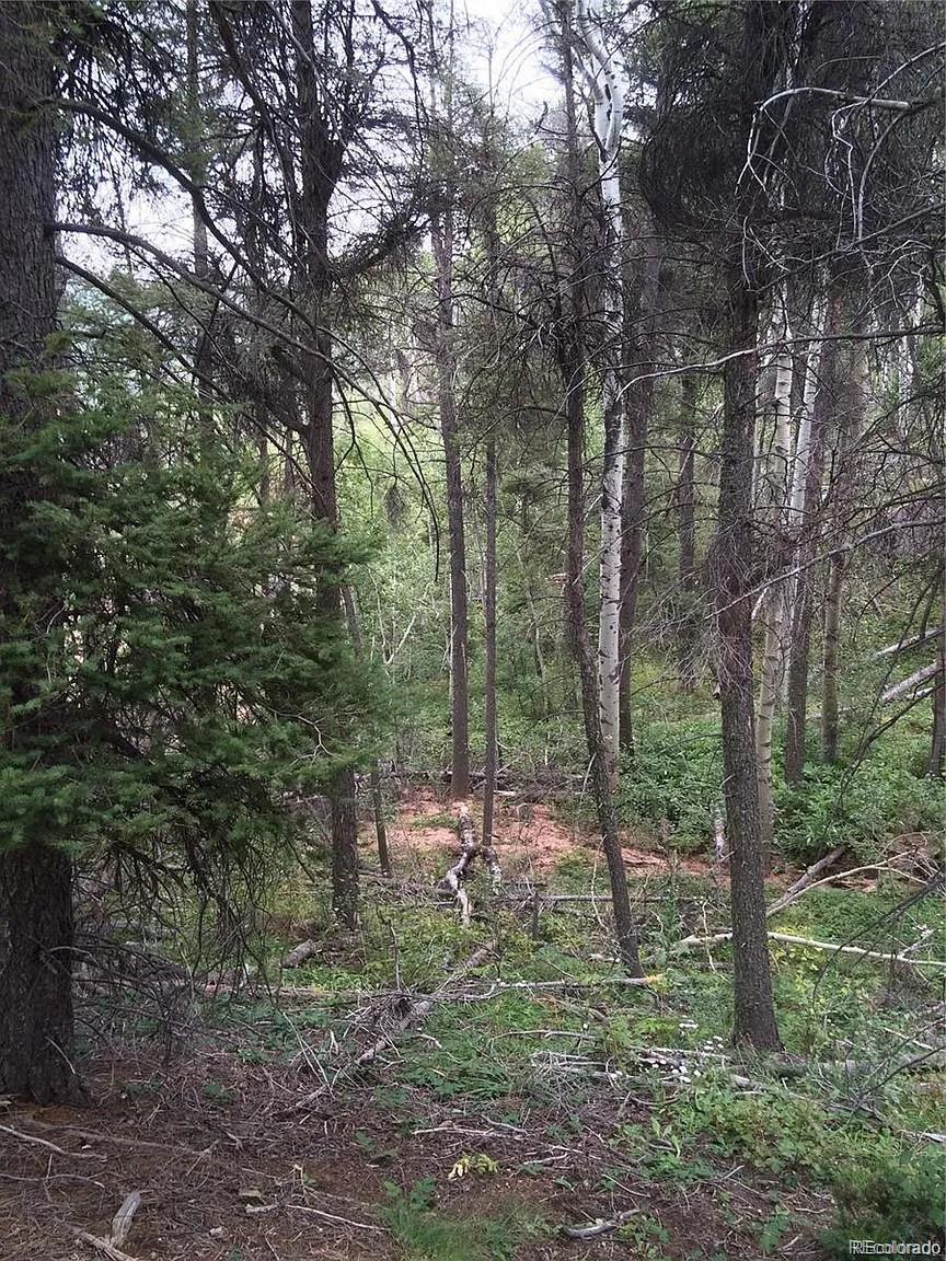 13499 S Firedog Way Larkspur CO 80118