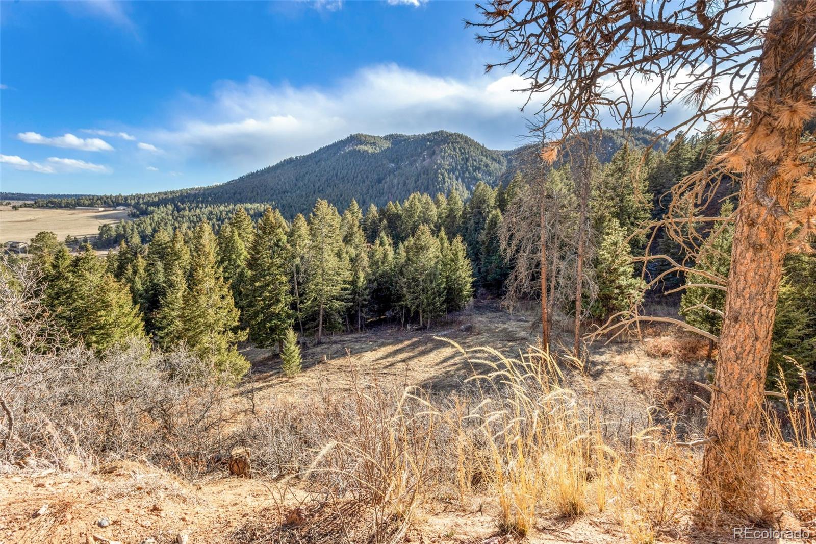Mountain Ranch Road Larkspur CO 80118