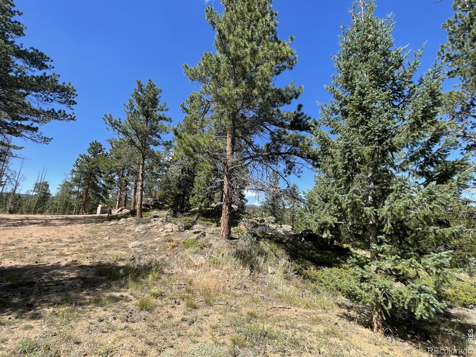 34 Shawnee Road Red Feather Lakes CO 80545