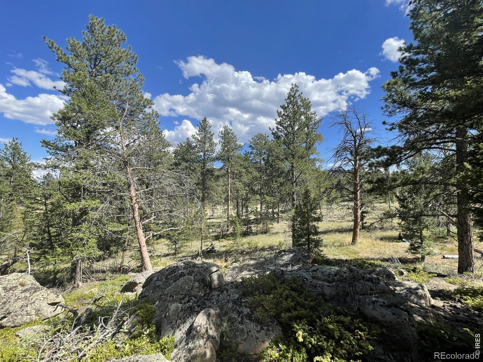 34 Shawnee Road Red Feather Lakes CO 80545