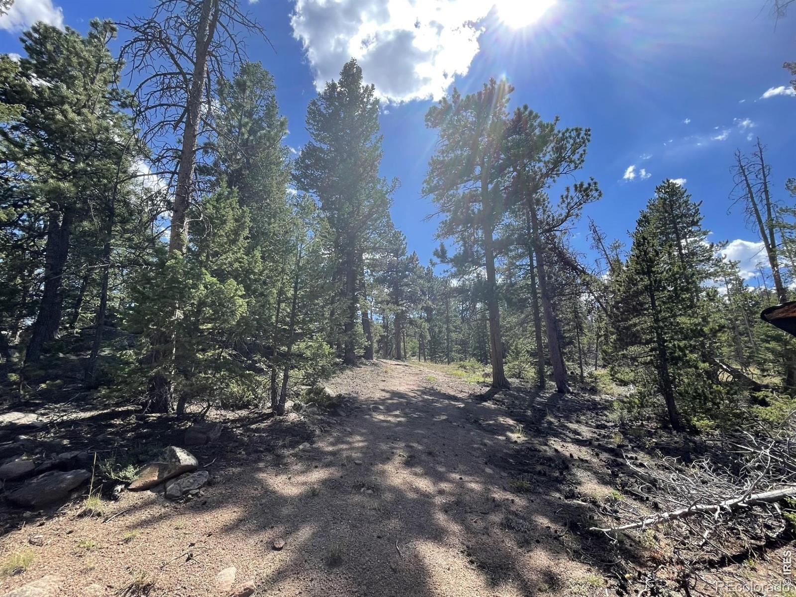 34 Shawnee Road Red Feather Lakes CO 80545