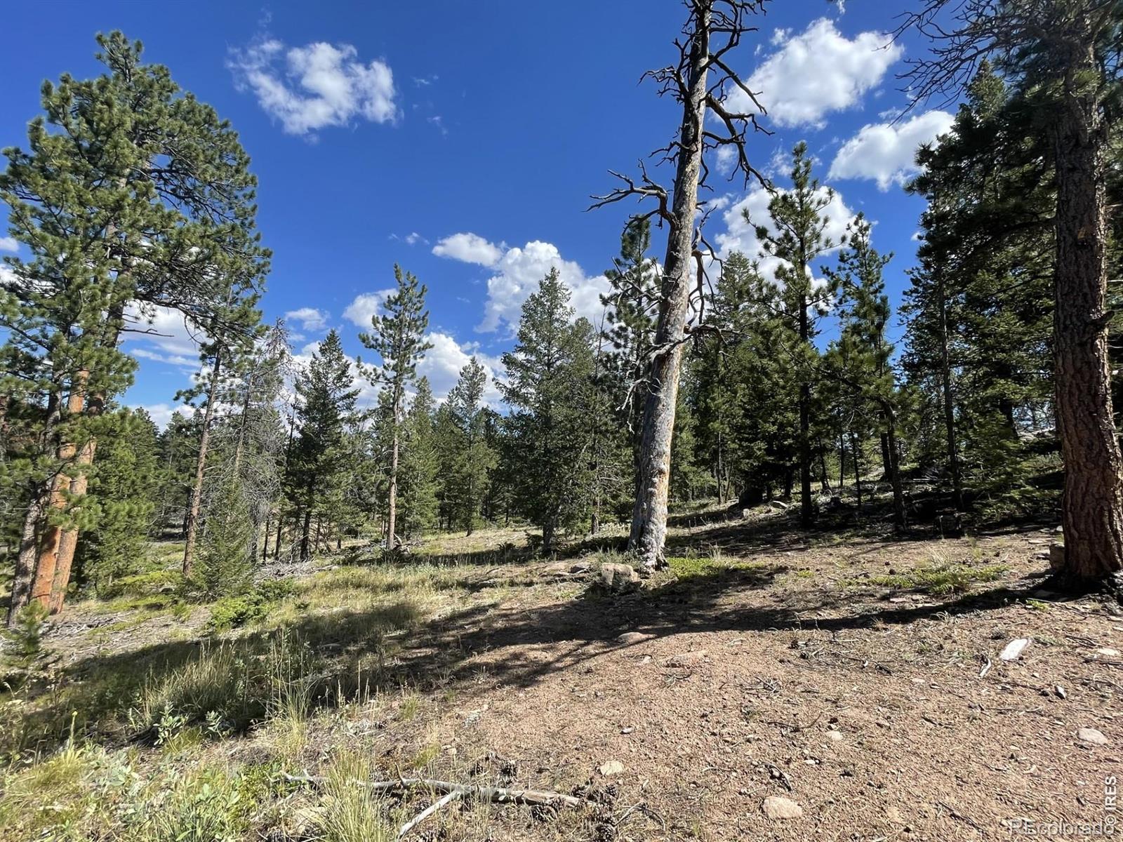 34 Shawnee Road Red Feather Lakes CO 80545
