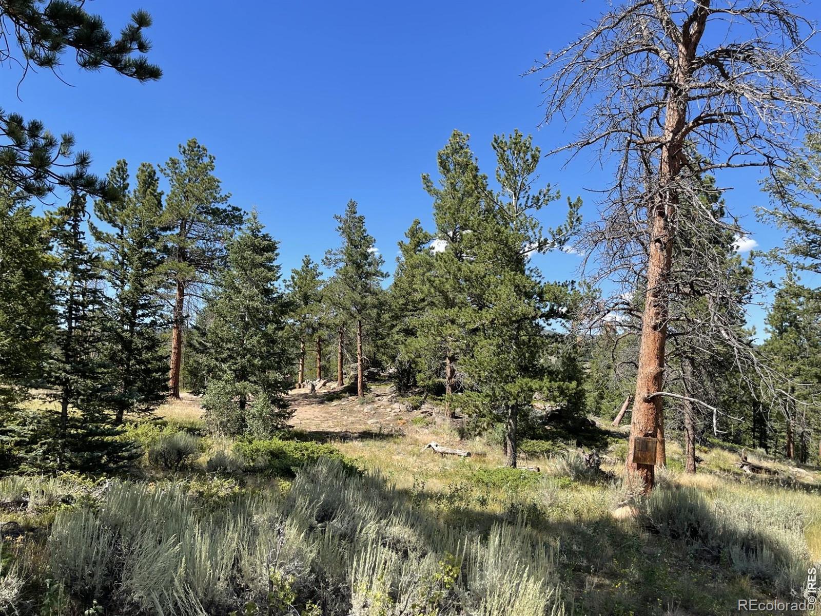 34 Shawnee Road Red Feather Lakes CO 80545