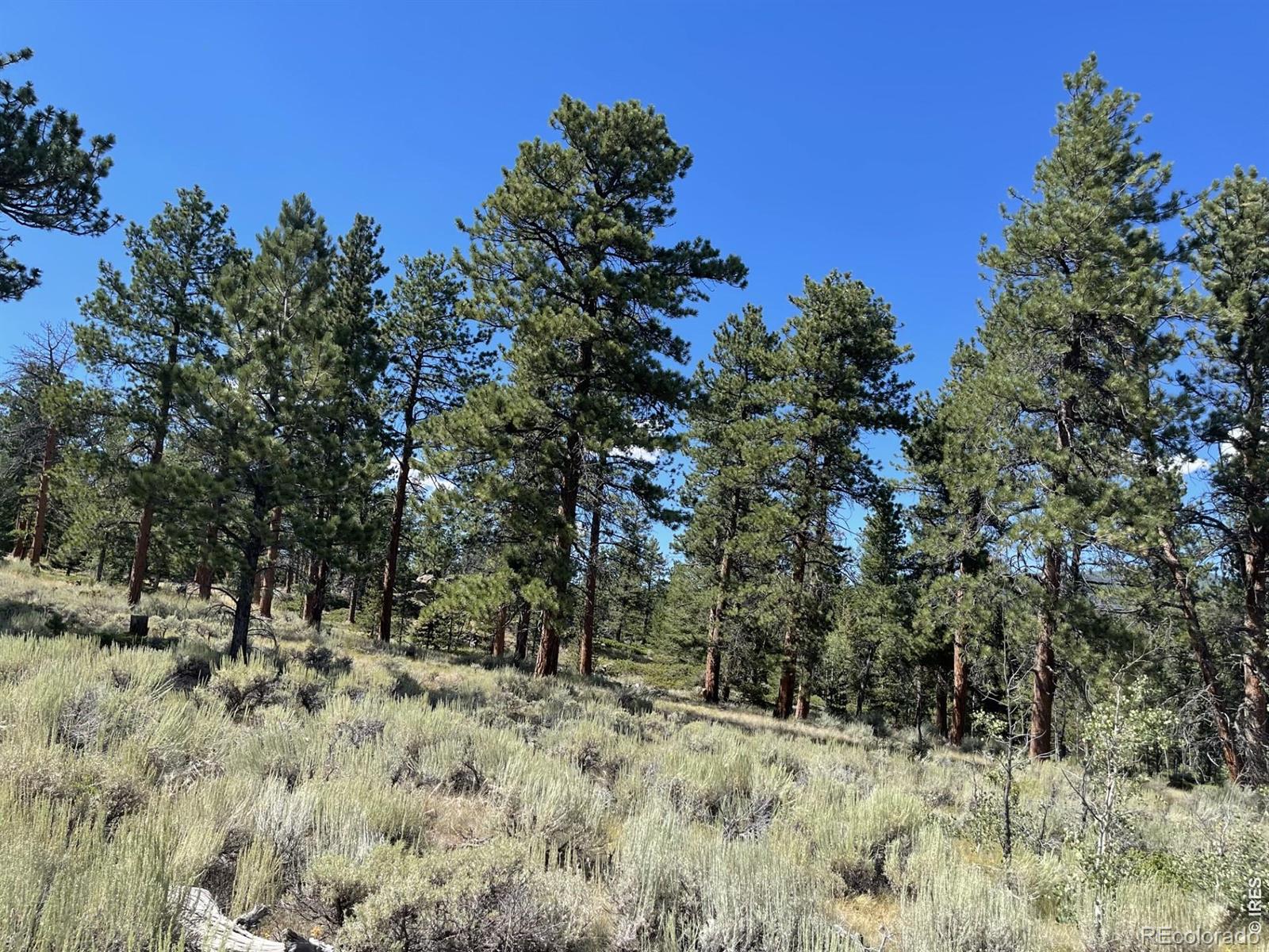 34 Shawnee Road Red Feather Lakes CO 80545