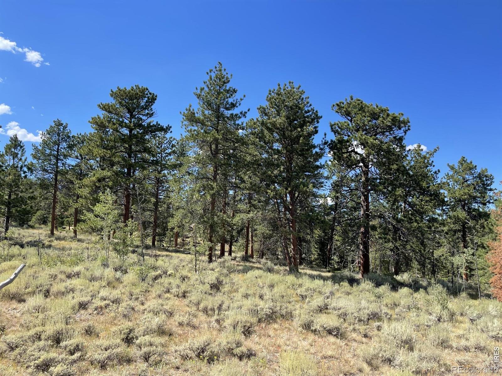 34 Shawnee Road Red Feather Lakes CO 80545