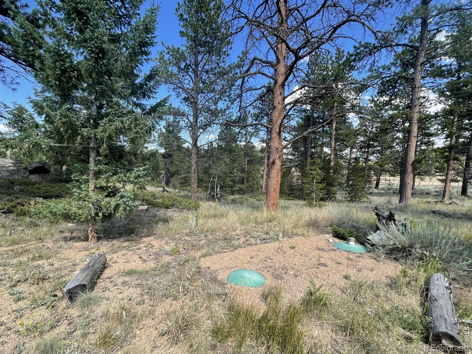 34 Shawnee Road Red Feather Lakes CO 80545