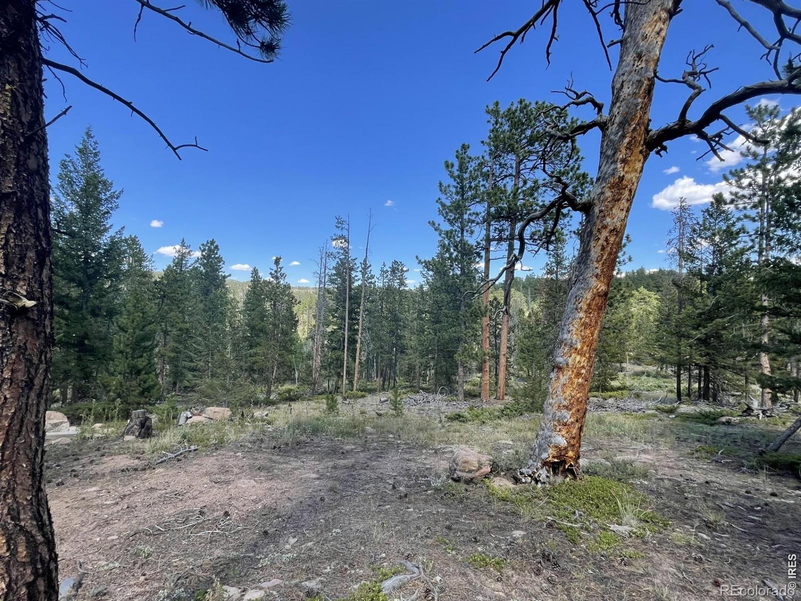 34 Shawnee Road Red Feather Lakes CO 80545