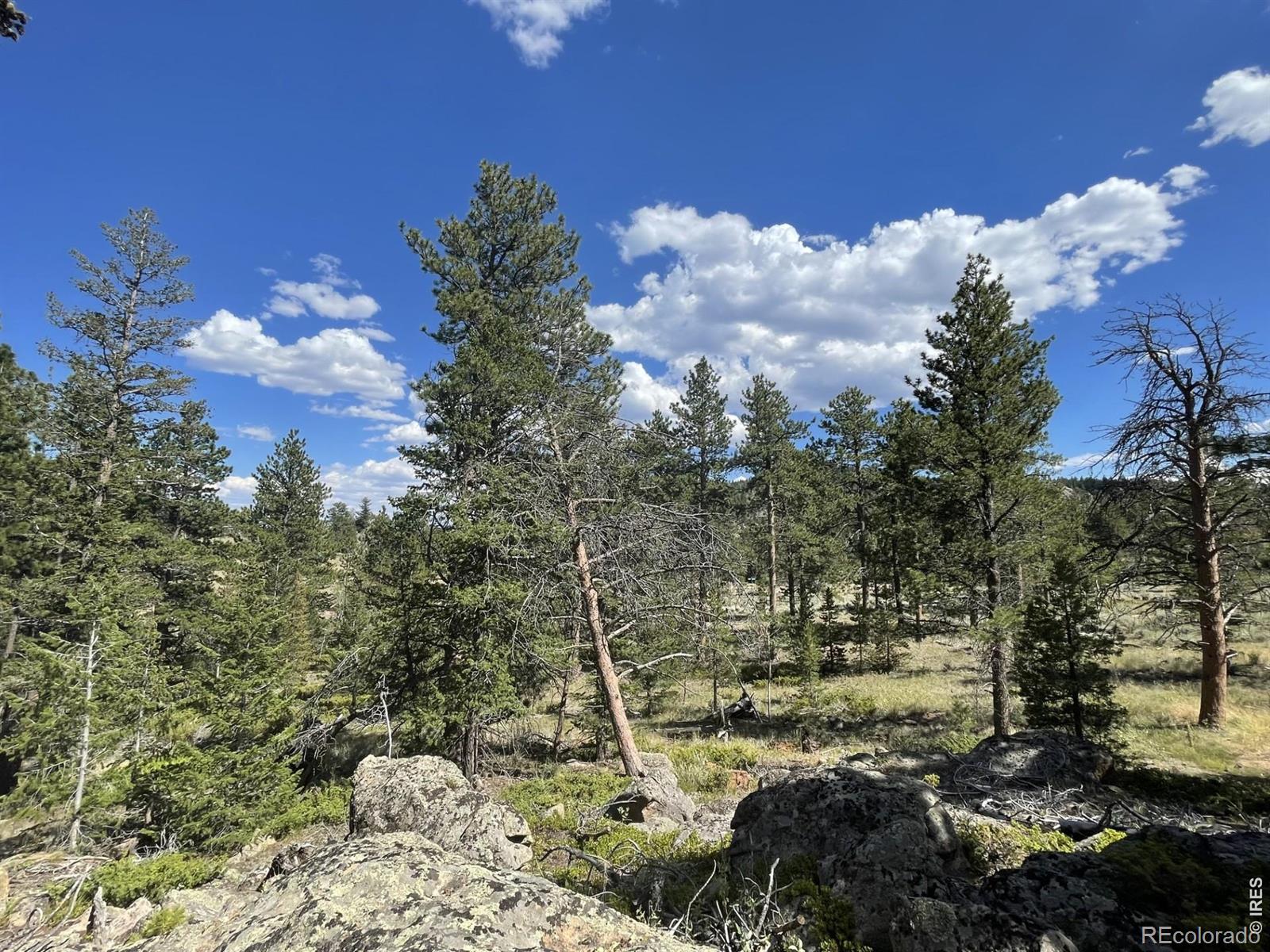 34 Shawnee Road Red Feather Lakes CO 80545
