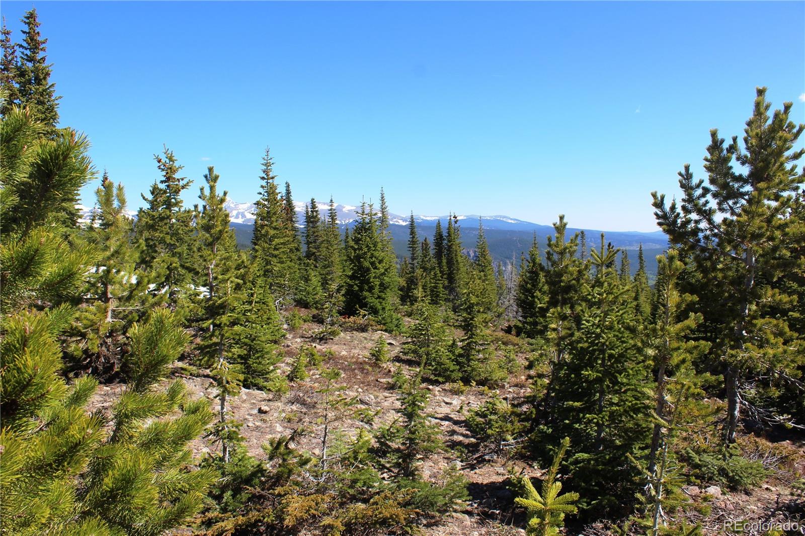 19420 Kingston Peak Road Black Hawk CO 80422