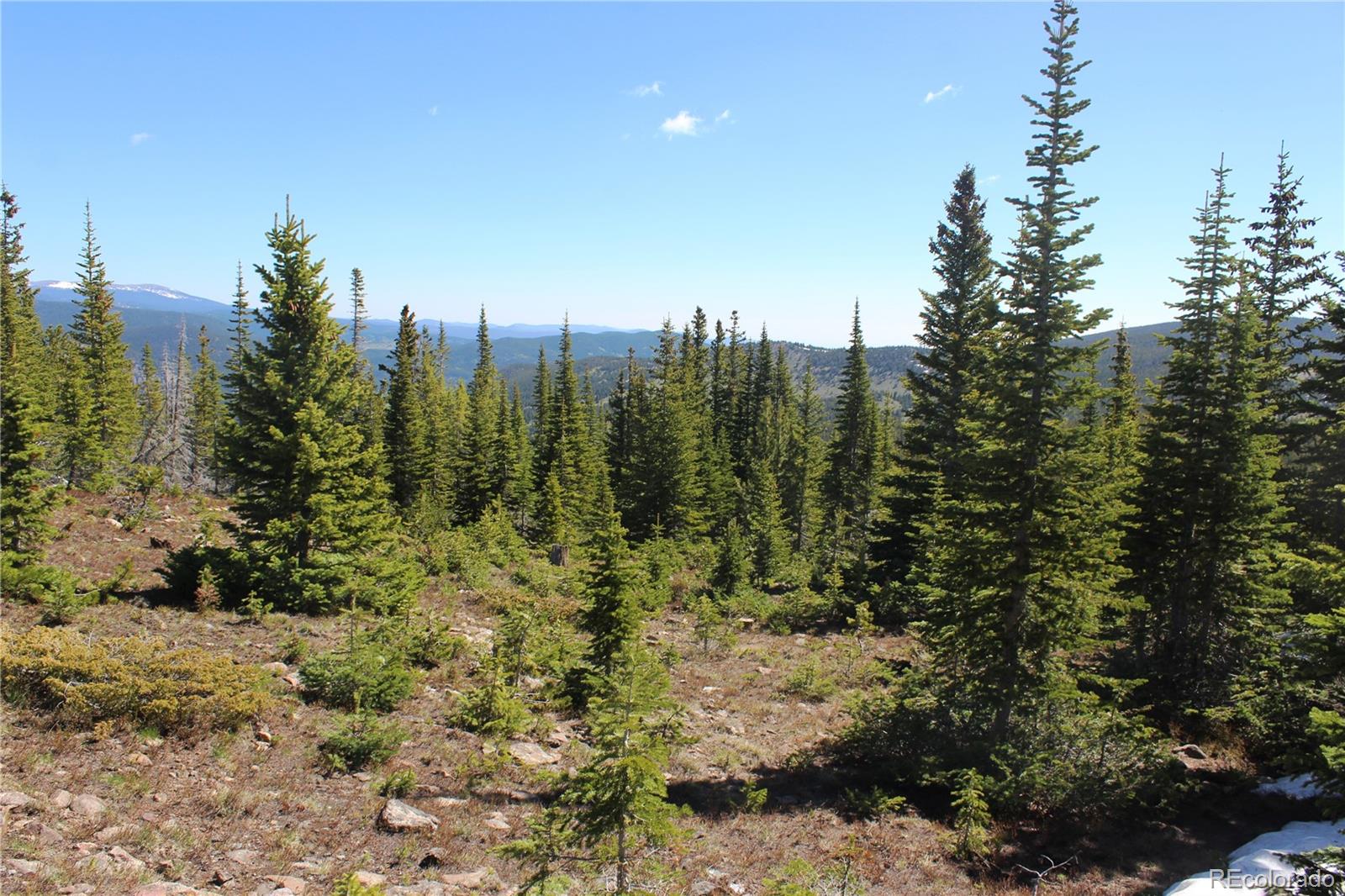 19420 Kingston Peak Road Black Hawk CO 80422