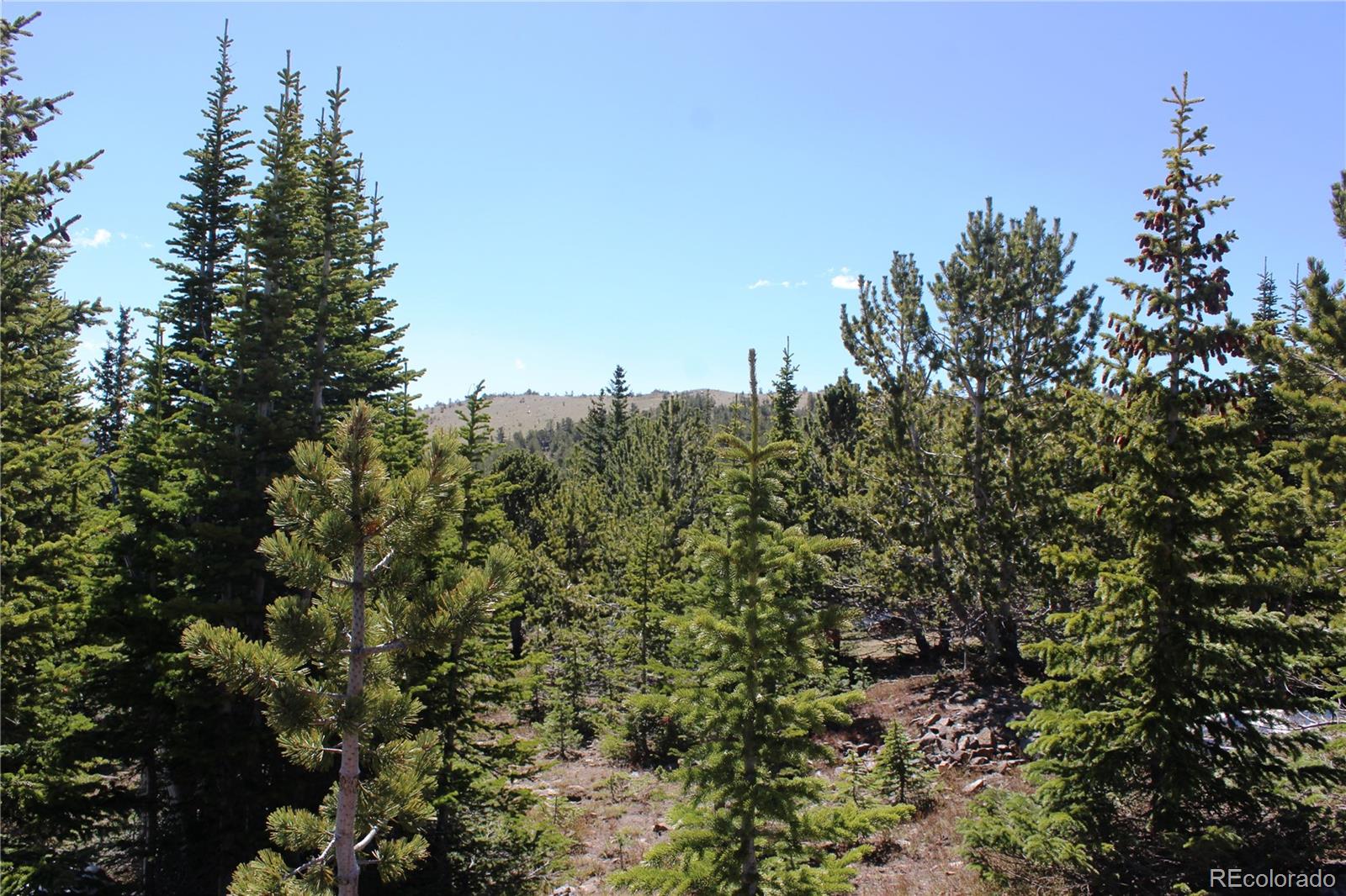 19420 Kingston Peak Road Black Hawk CO 80422