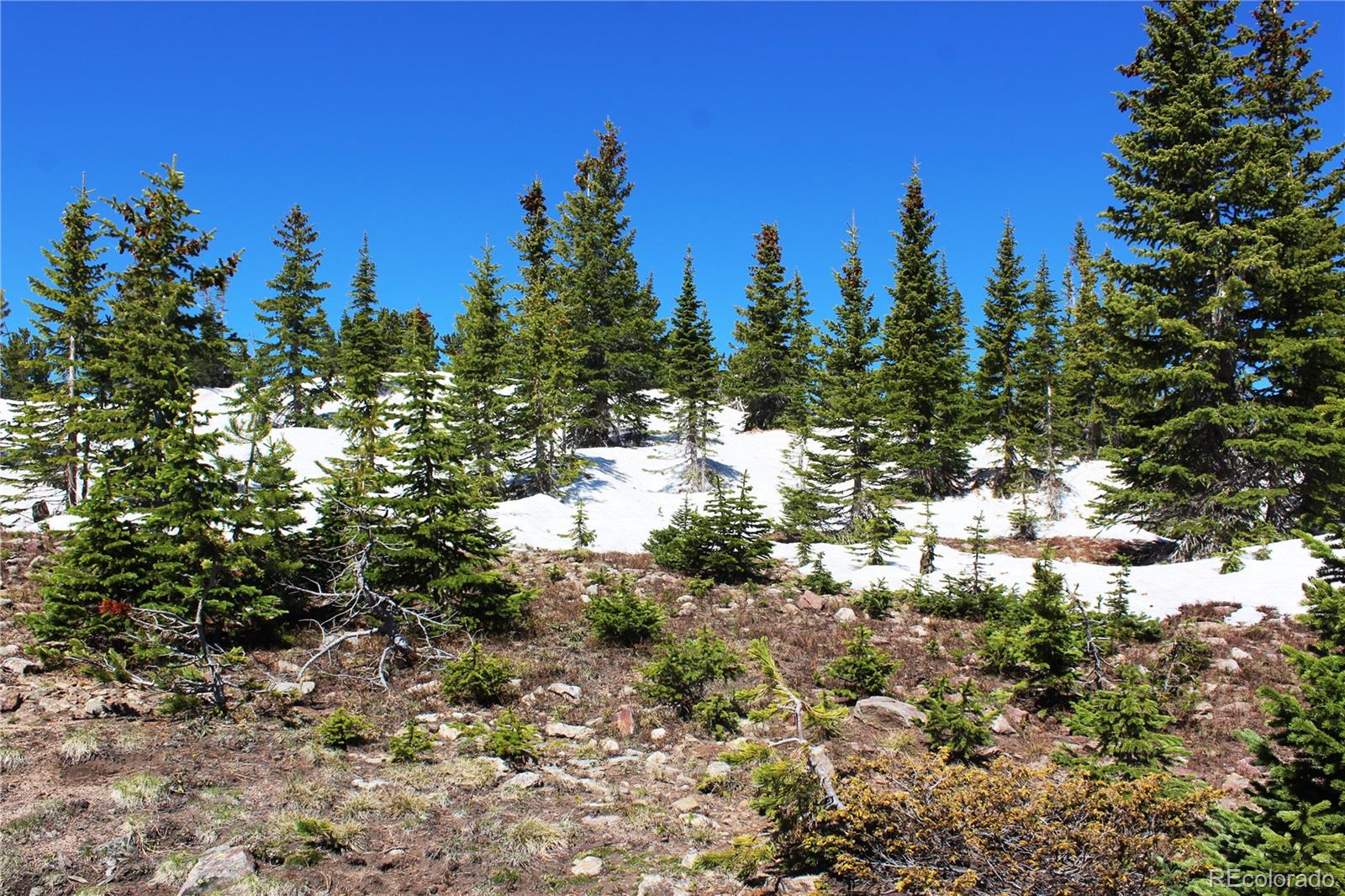 19420 Kingston Peak Road Black Hawk CO 80422