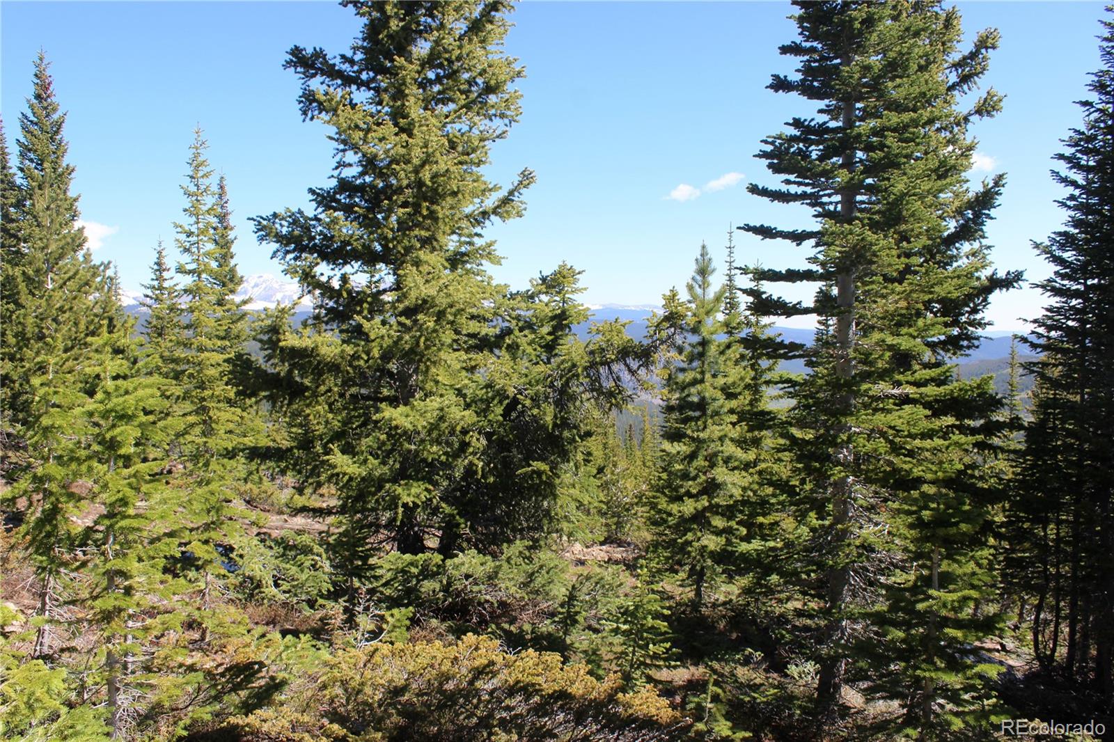 19420 Kingston Peak Road Black Hawk CO 80422
