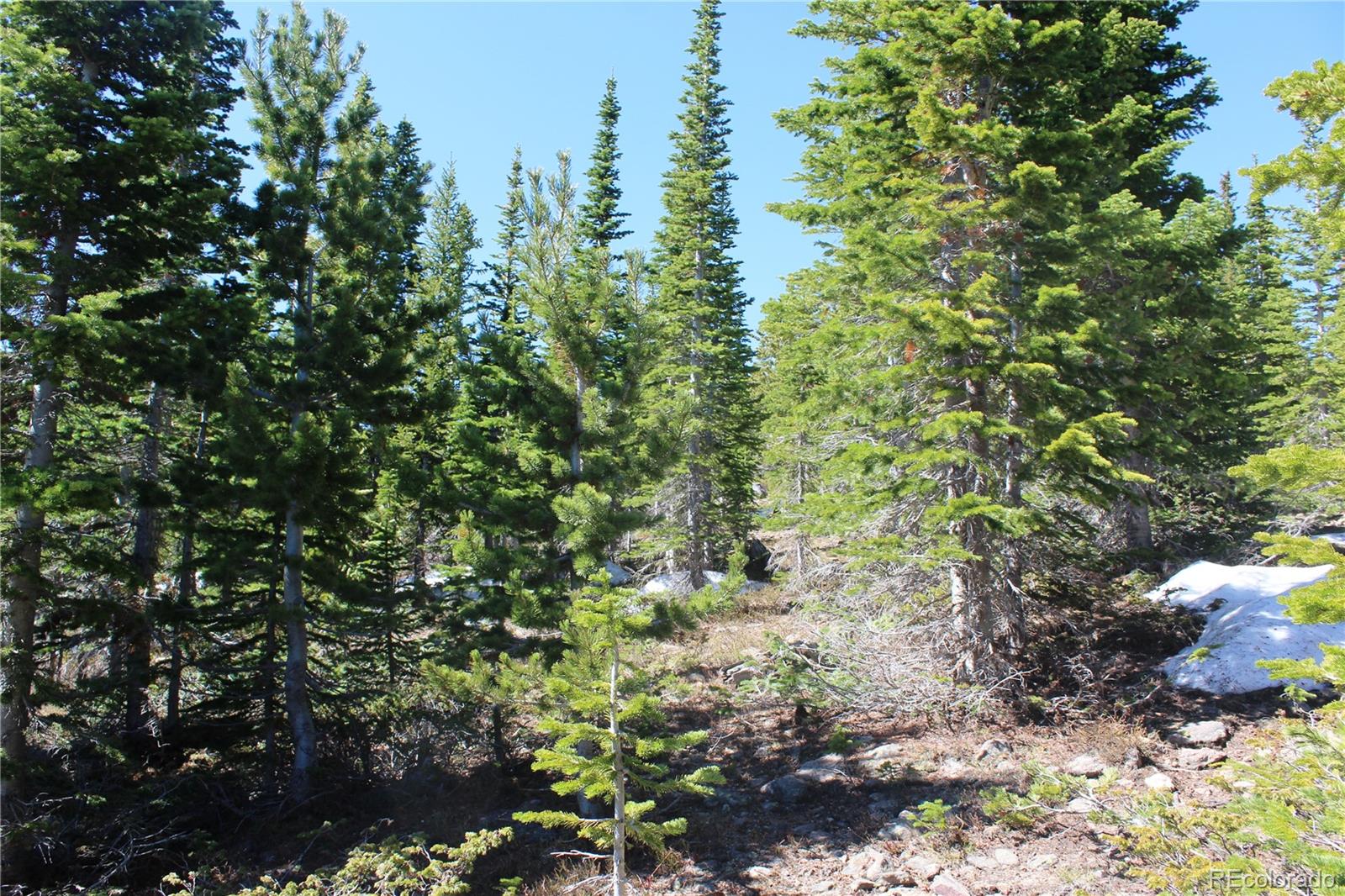 19420 Kingston Peak Road Black Hawk CO 80422