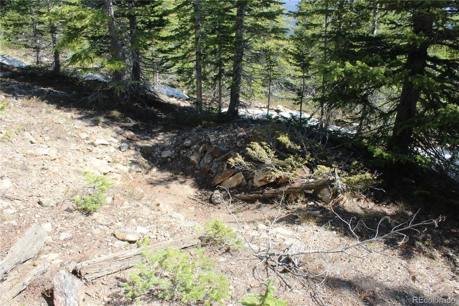 19420 Kingston Peak Road Black Hawk CO 80422