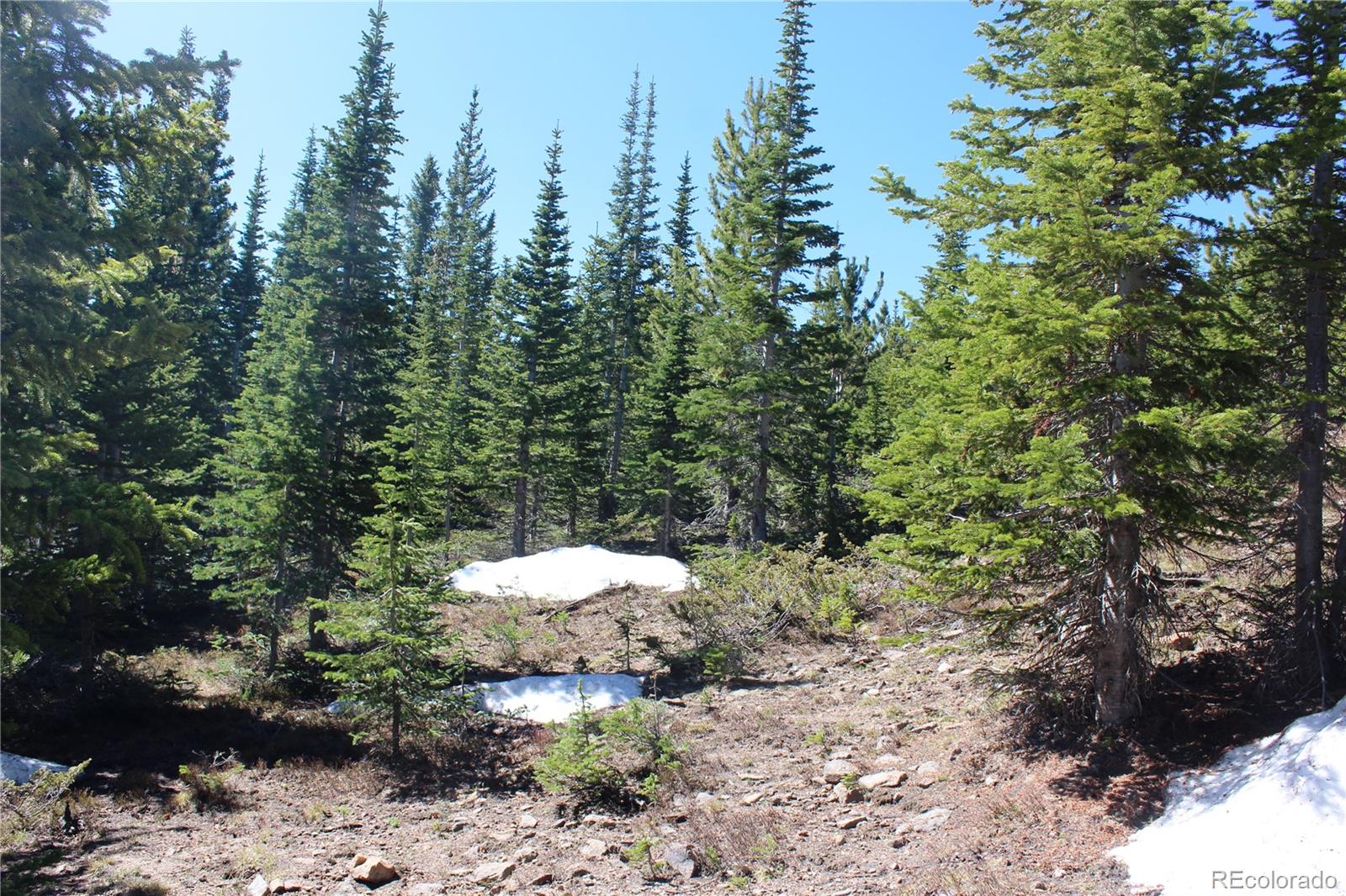 19420 Kingston Peak Road Black Hawk CO 80422