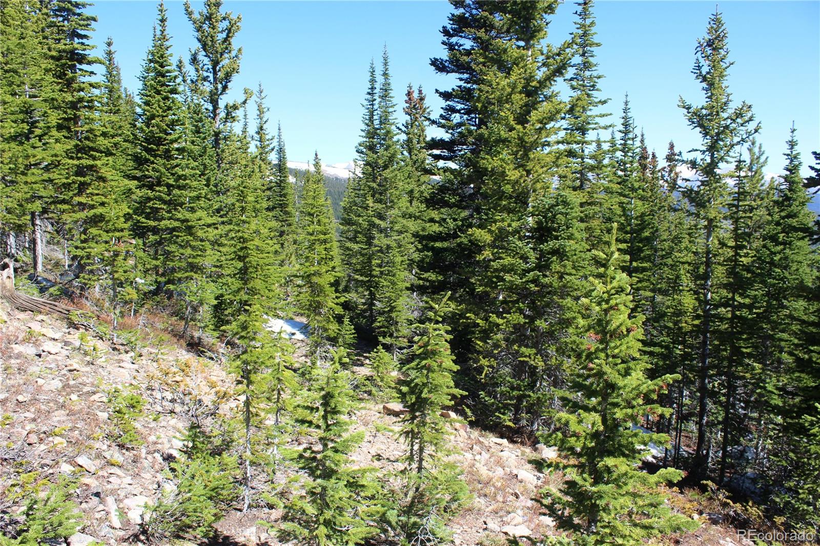 19420 Kingston Peak Road Black Hawk CO 80422