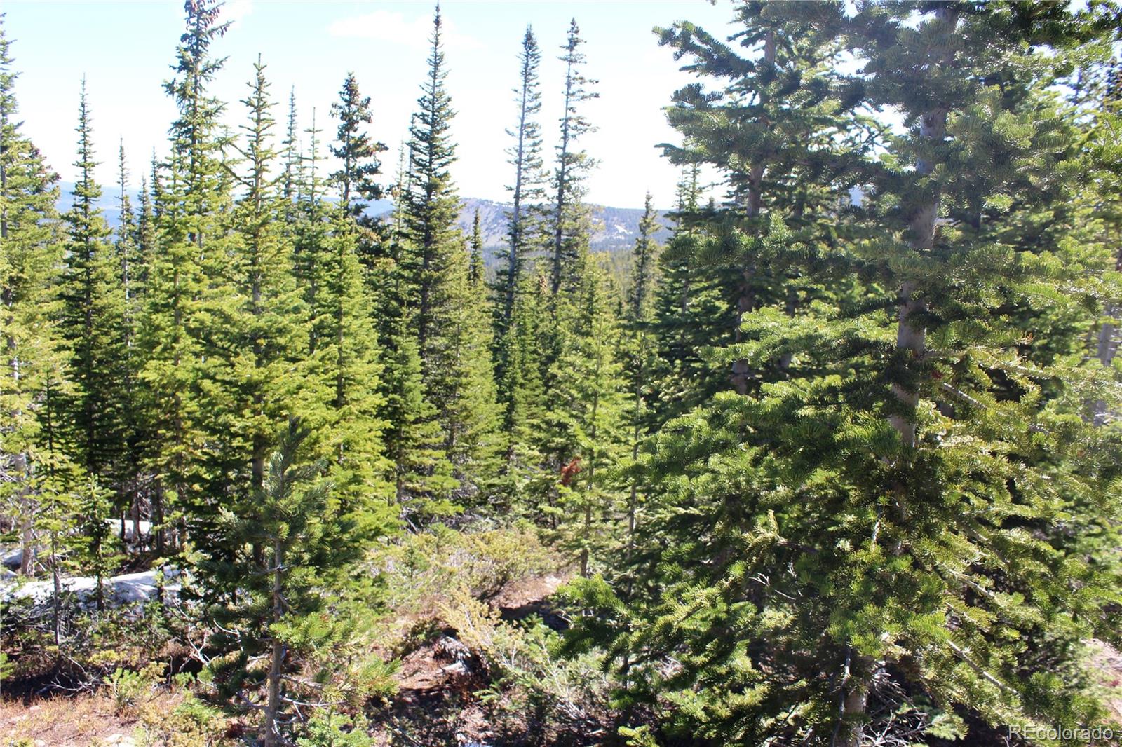 19420 Kingston Peak Road Black Hawk CO 80422