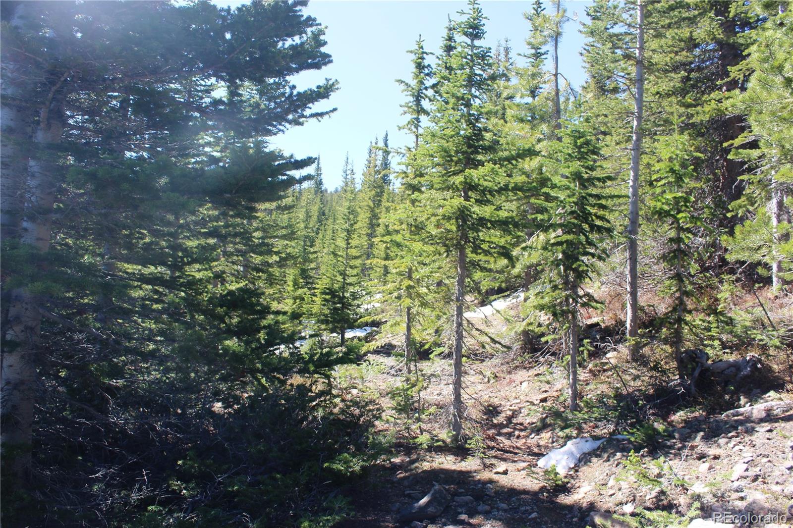 19420 Kingston Peak Road Black Hawk CO 80422