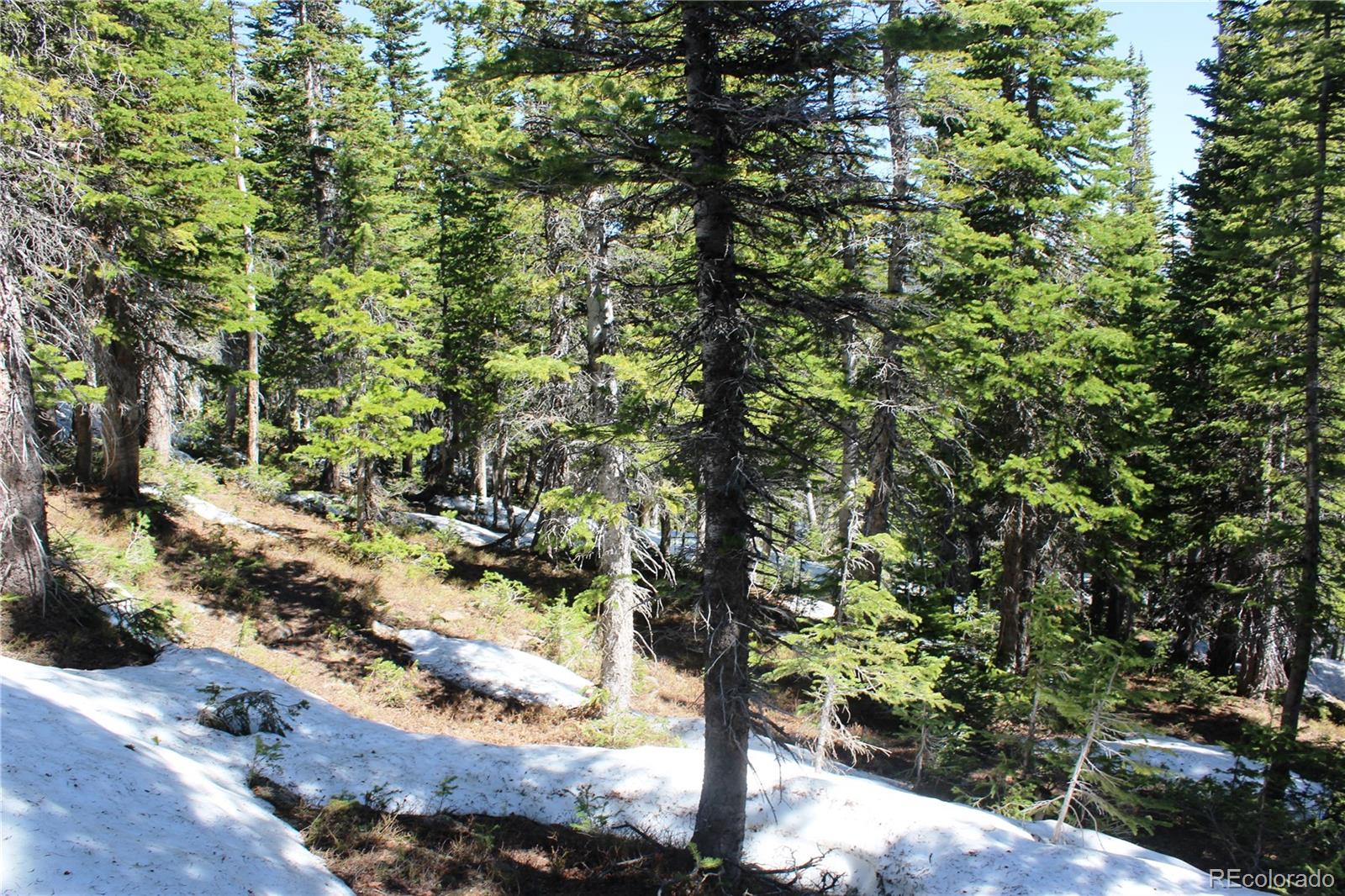 19420 Kingston Peak Road Black Hawk CO 80422