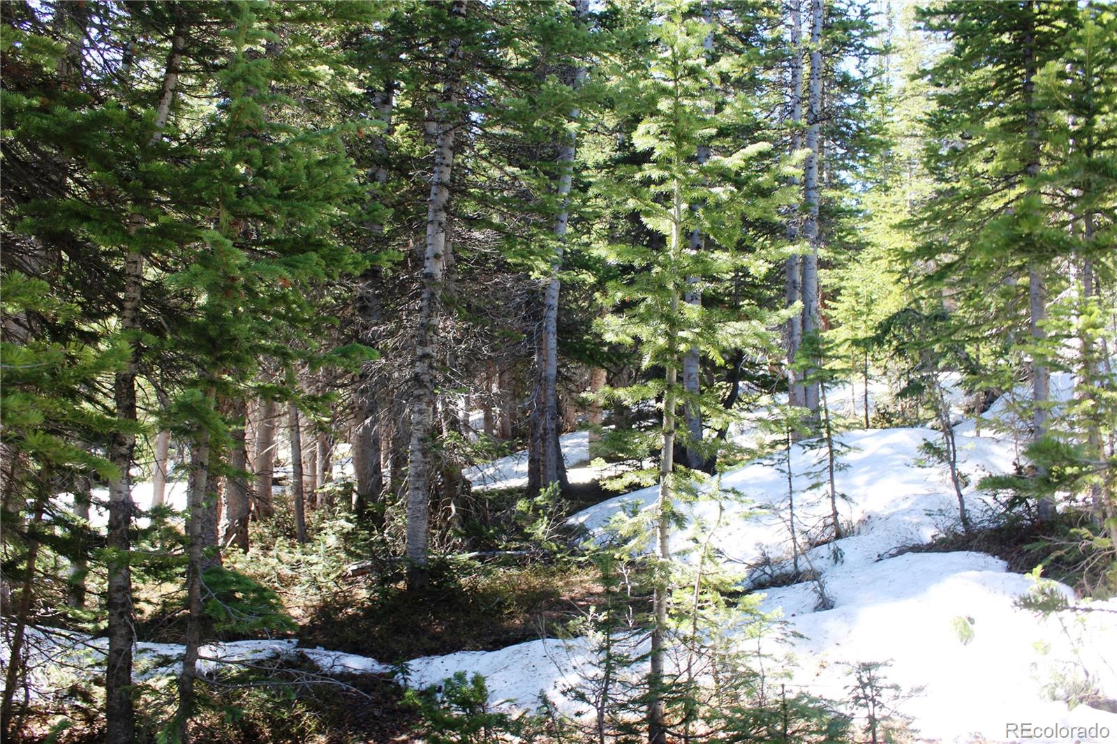 19420 Kingston Peak Road Black Hawk CO 80422
