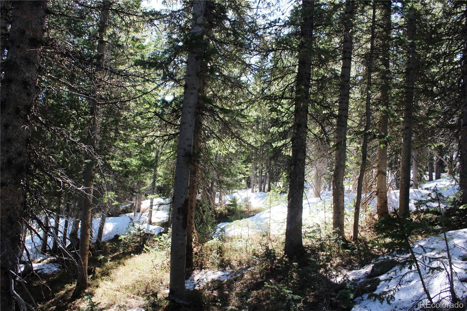 19420 Kingston Peak Road Black Hawk CO 80422