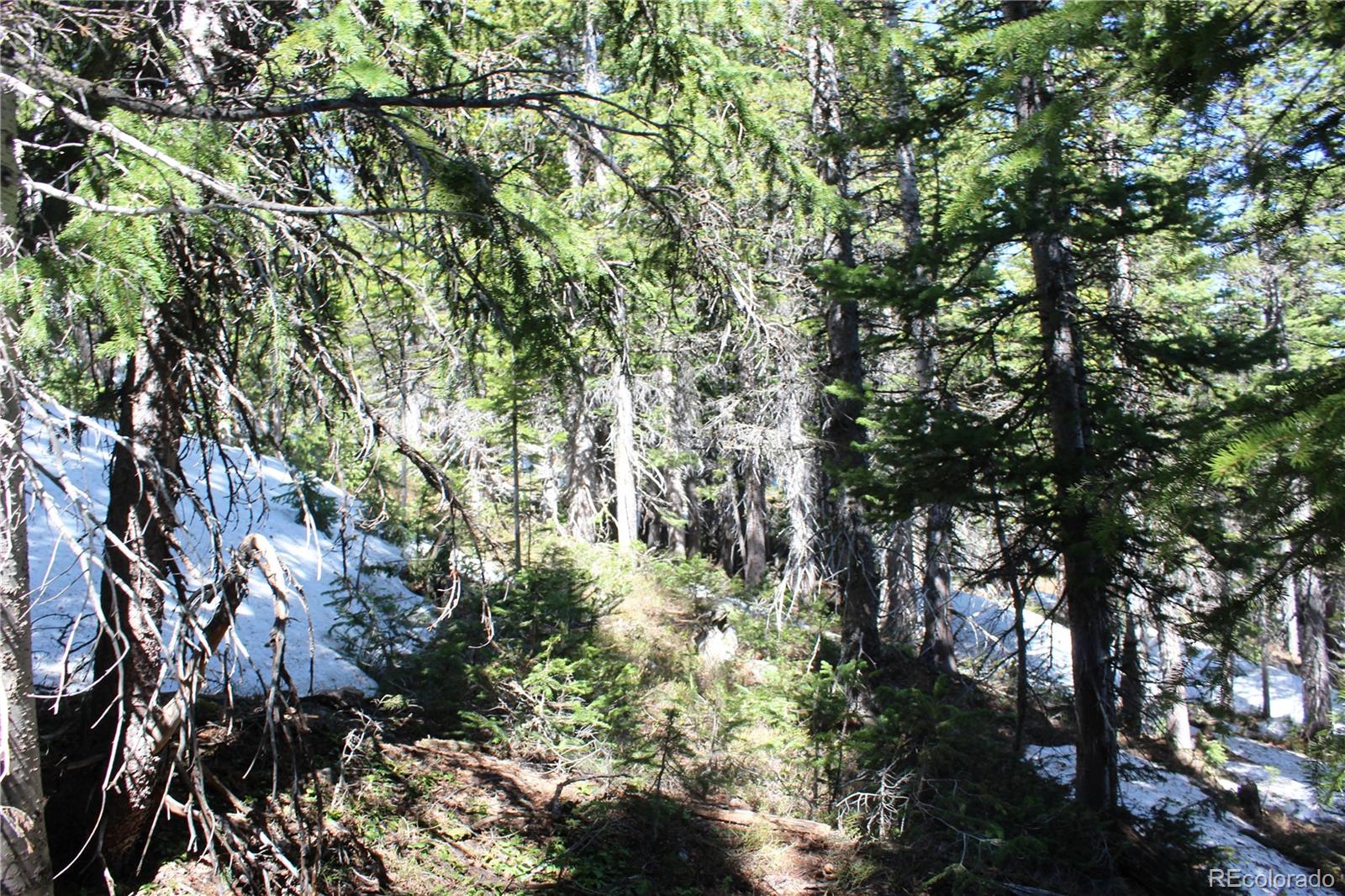 19420 Kingston Peak Road Black Hawk CO 80422