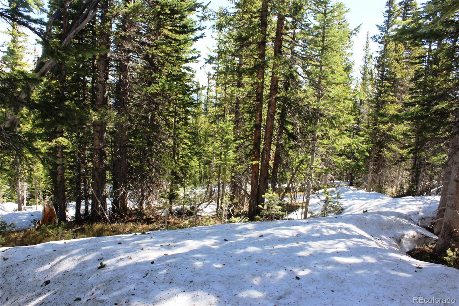 19420 Kingston Peak Road Black Hawk CO 80422