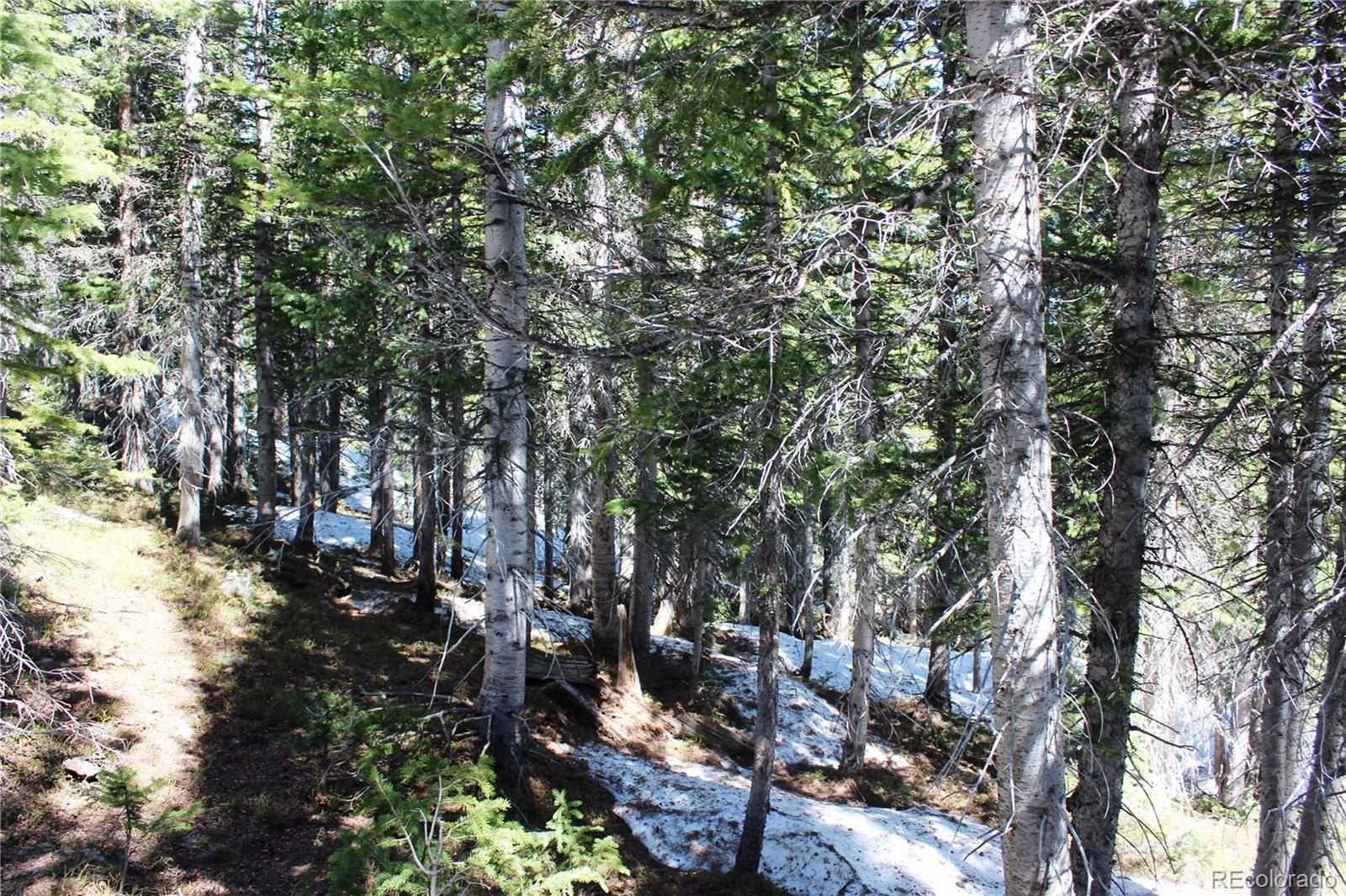 19420 Kingston Peak Road Black Hawk CO 80422