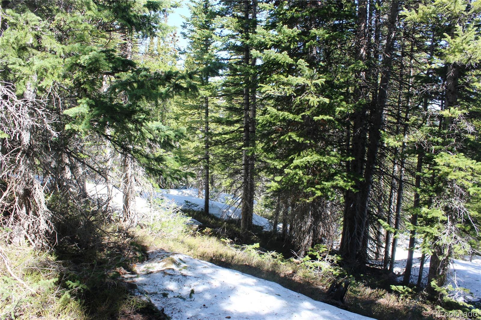 19420 Kingston Peak Road Black Hawk CO 80422