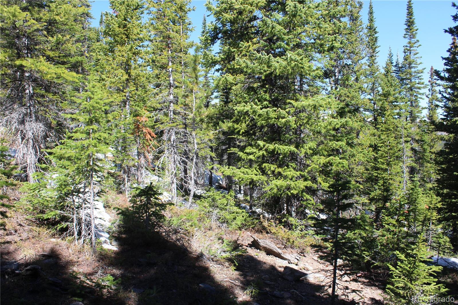 19420 Kingston Peak Road Black Hawk CO 80422
