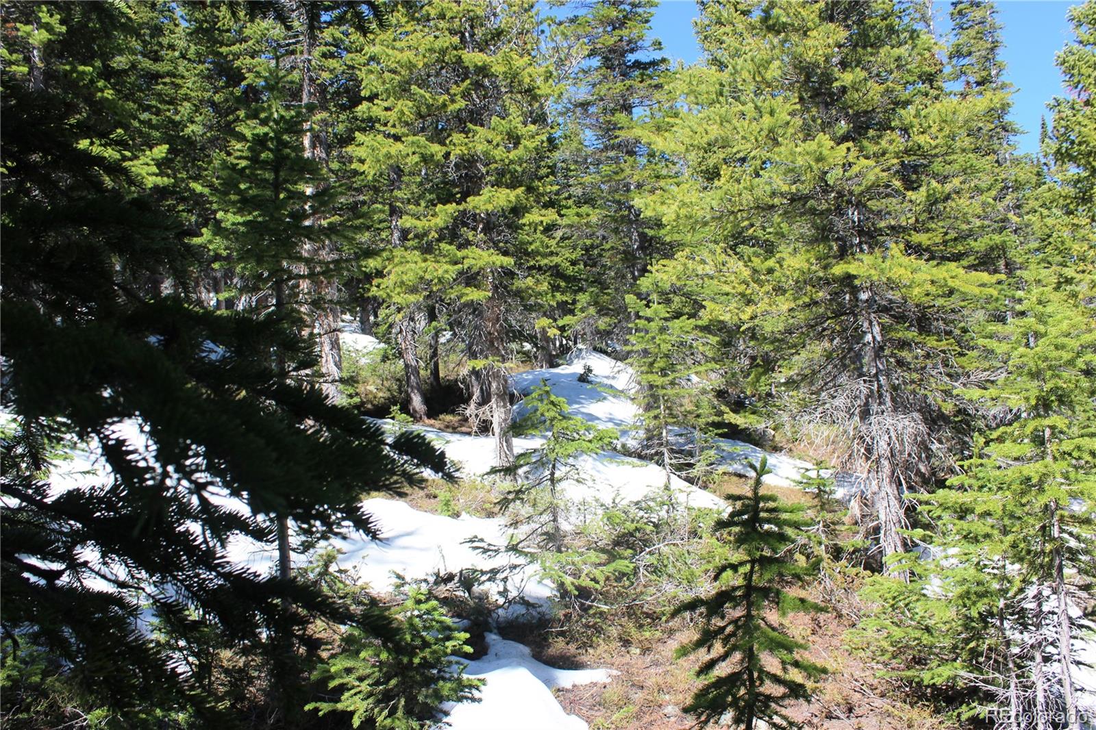 19420 Kingston Peak Road Black Hawk CO 80422
