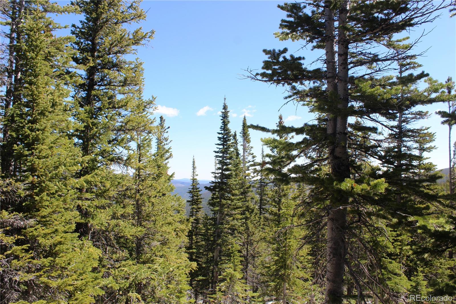 19420 Kingston Peak Road Black Hawk CO 80422