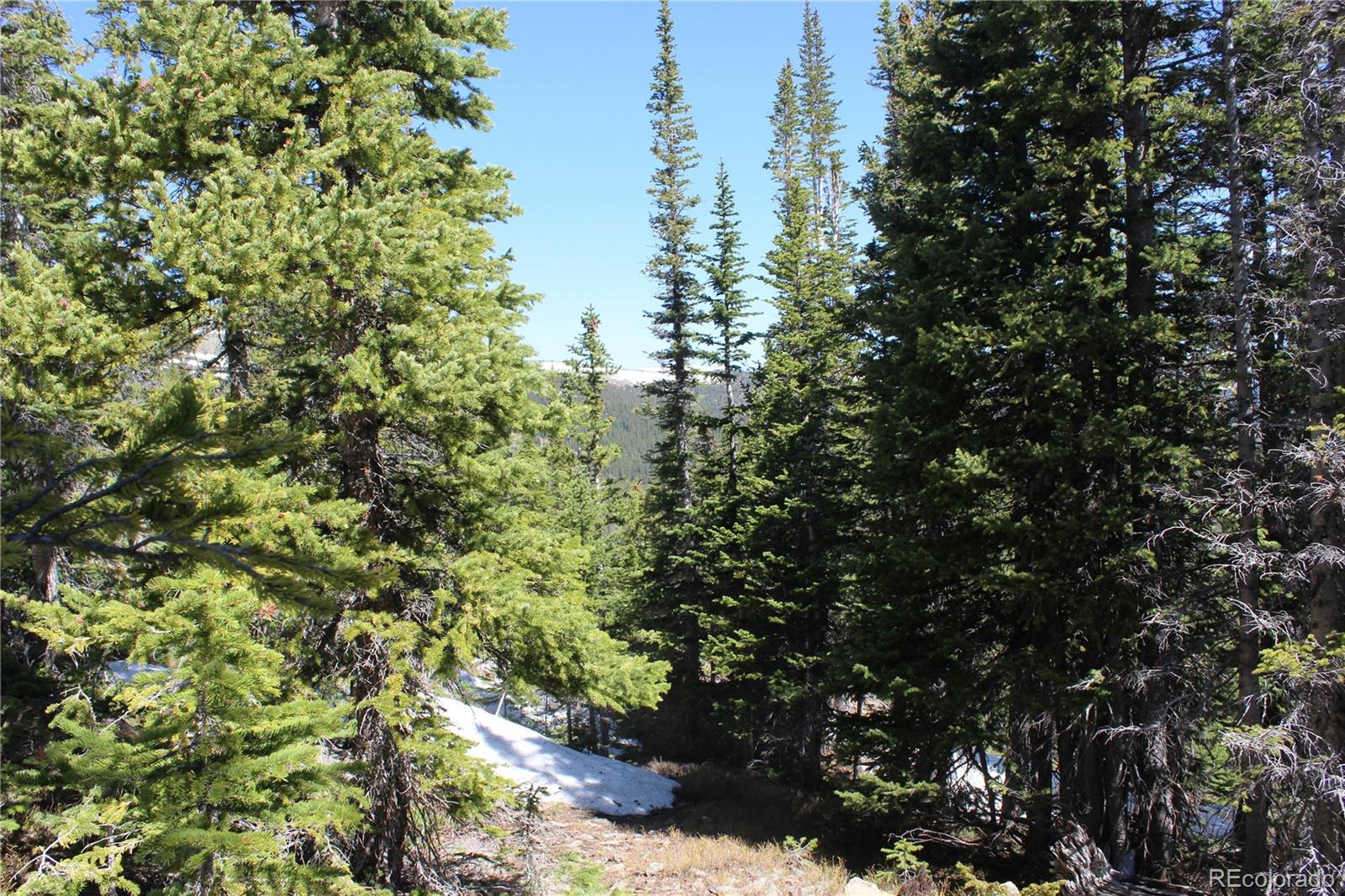 19420 Kingston Peak Road Black Hawk CO 80422