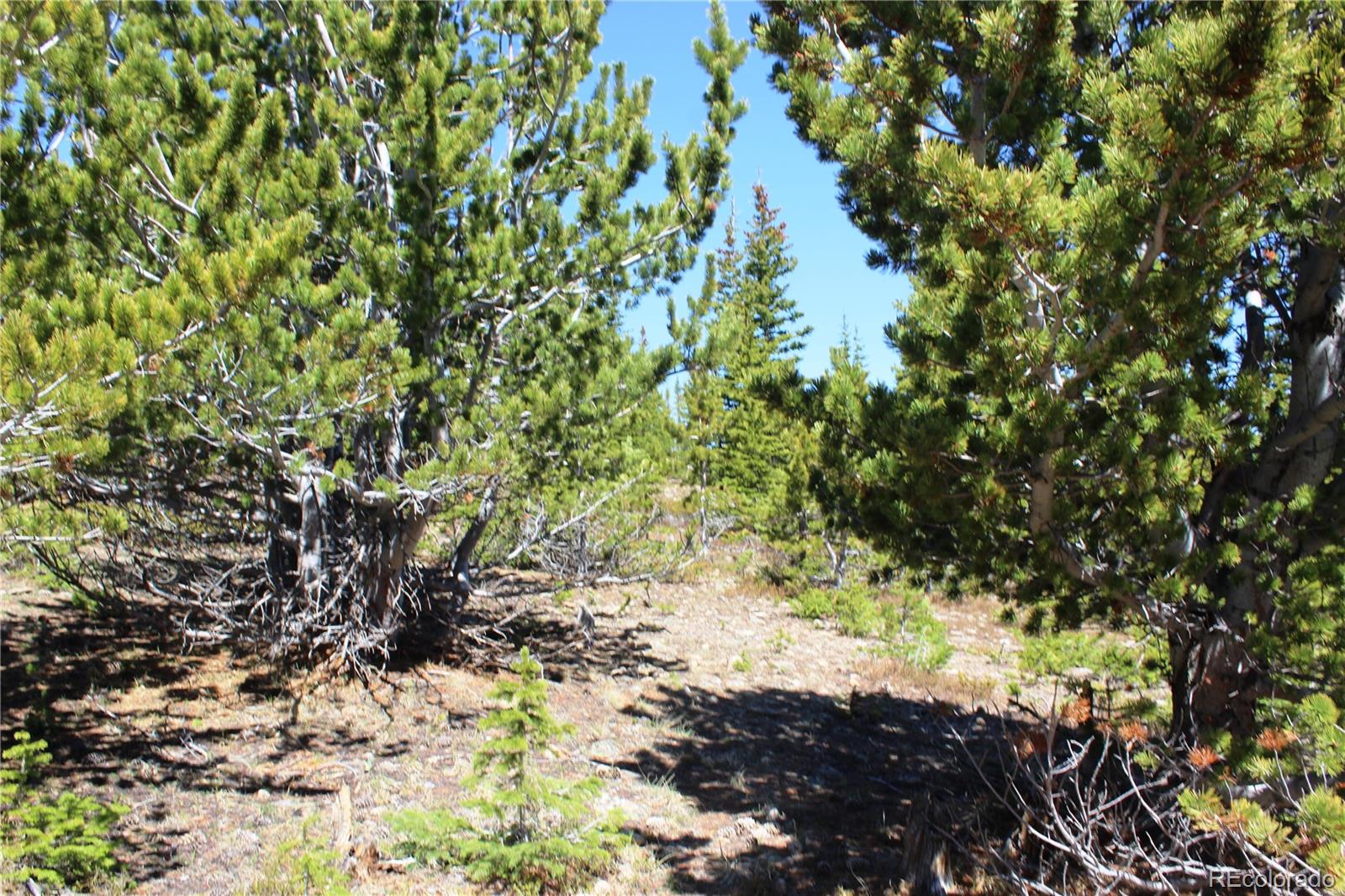 19420 Kingston Peak Road Black Hawk CO 80422